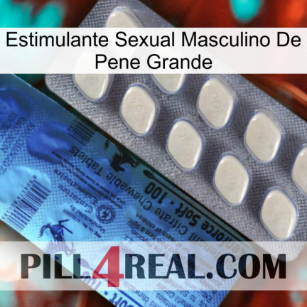 Big Penis Male Sexual Stimulant 34